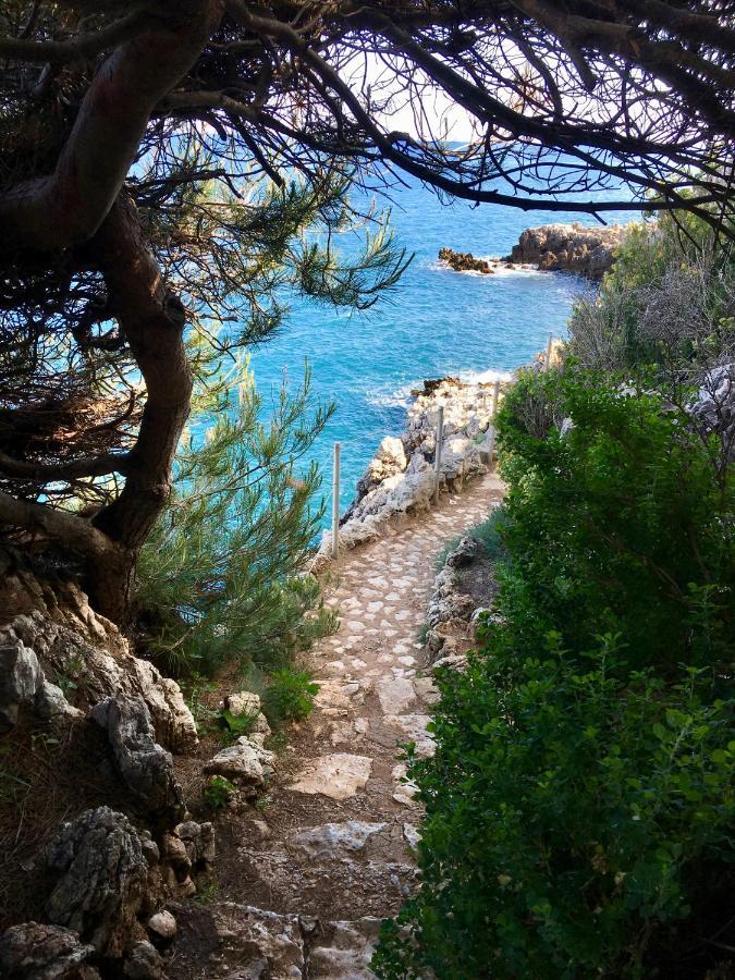 Artistic Antibes Apartment Экстерьер фото